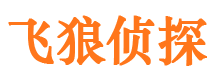 安乡市婚外情调查